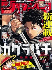 第七格抽屉漫画改编标本卡封面 琥珀色抽屉与卷宗